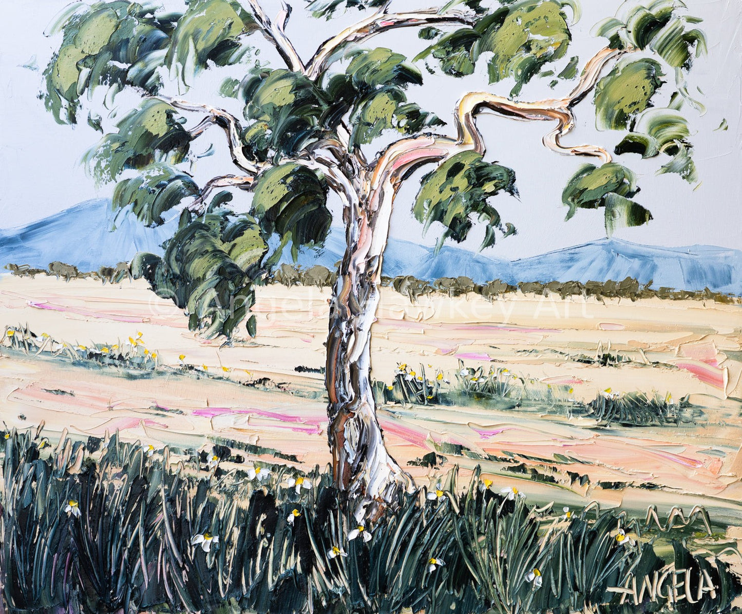 Soft Earth Vista