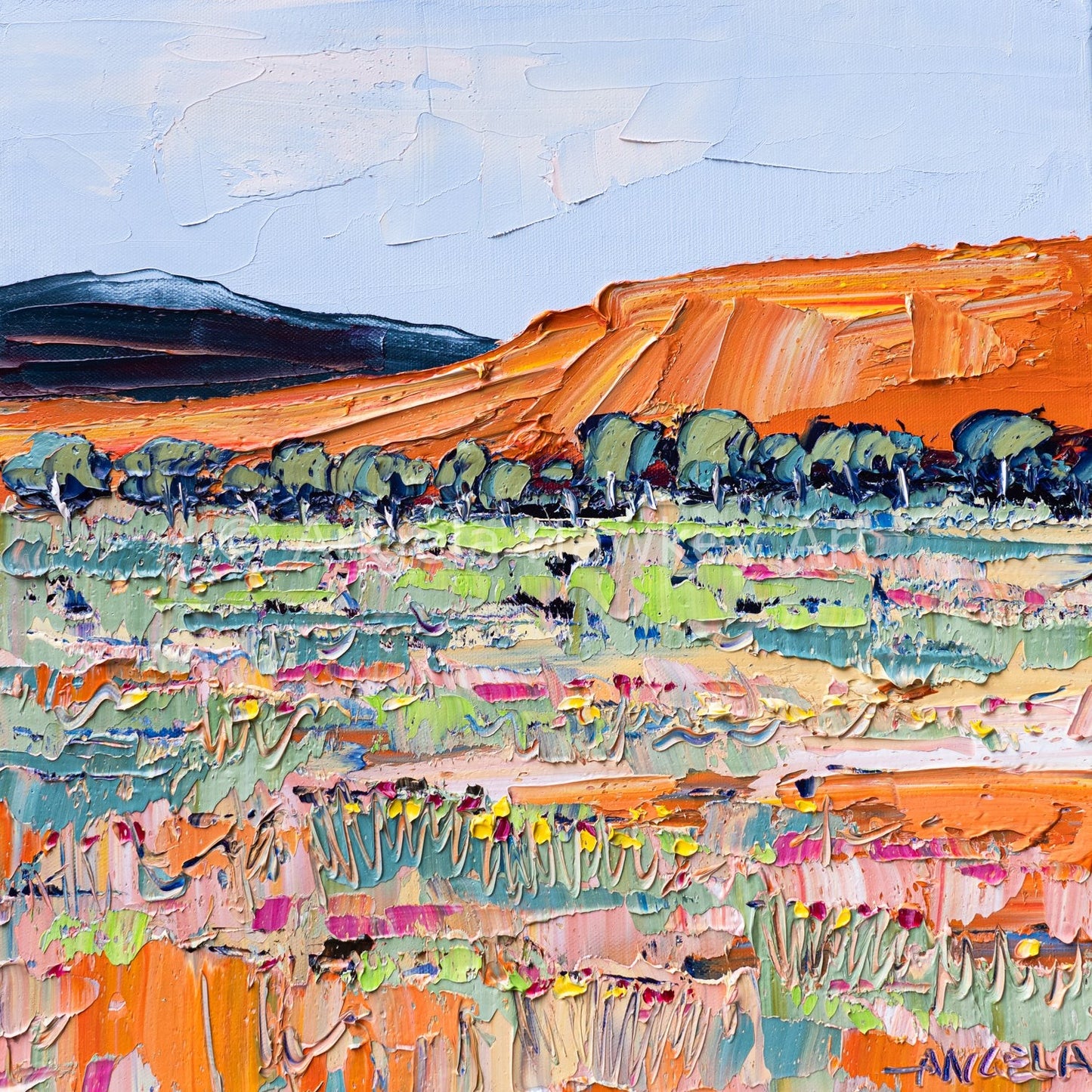 Outback View