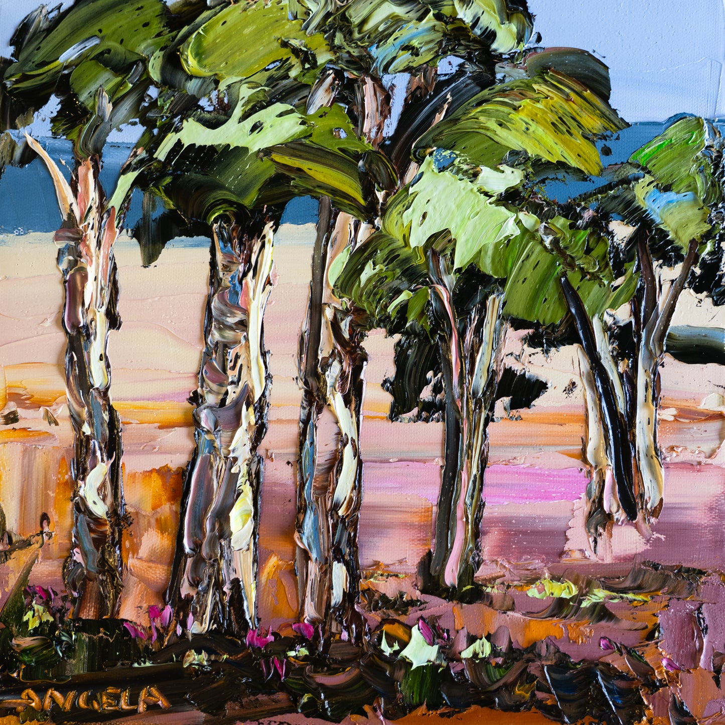 Bush Sanctuary