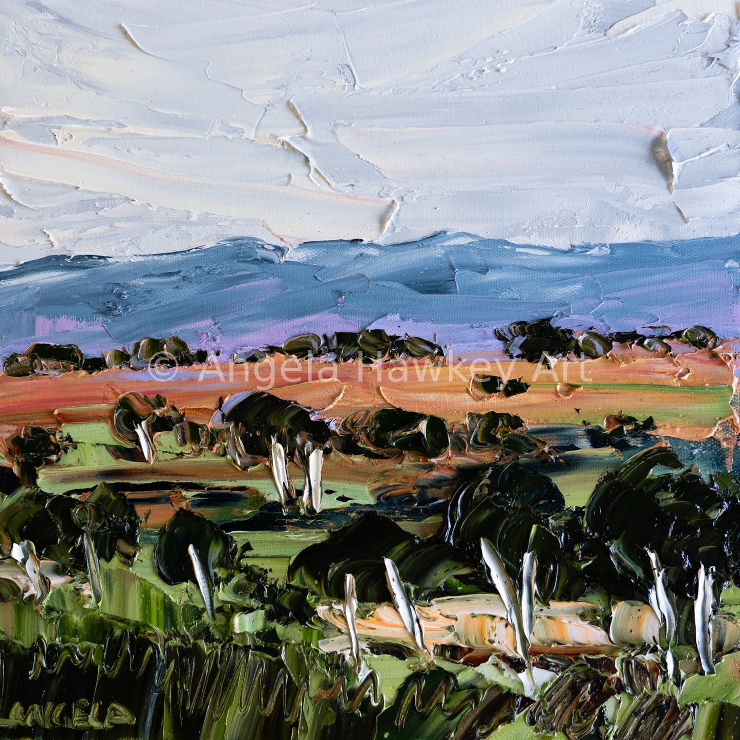 The Long View