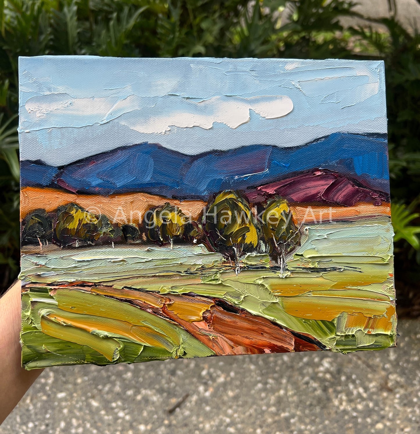 Blue Mountains