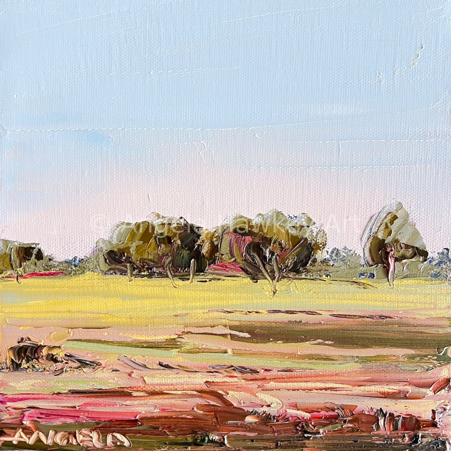 Fields of Light