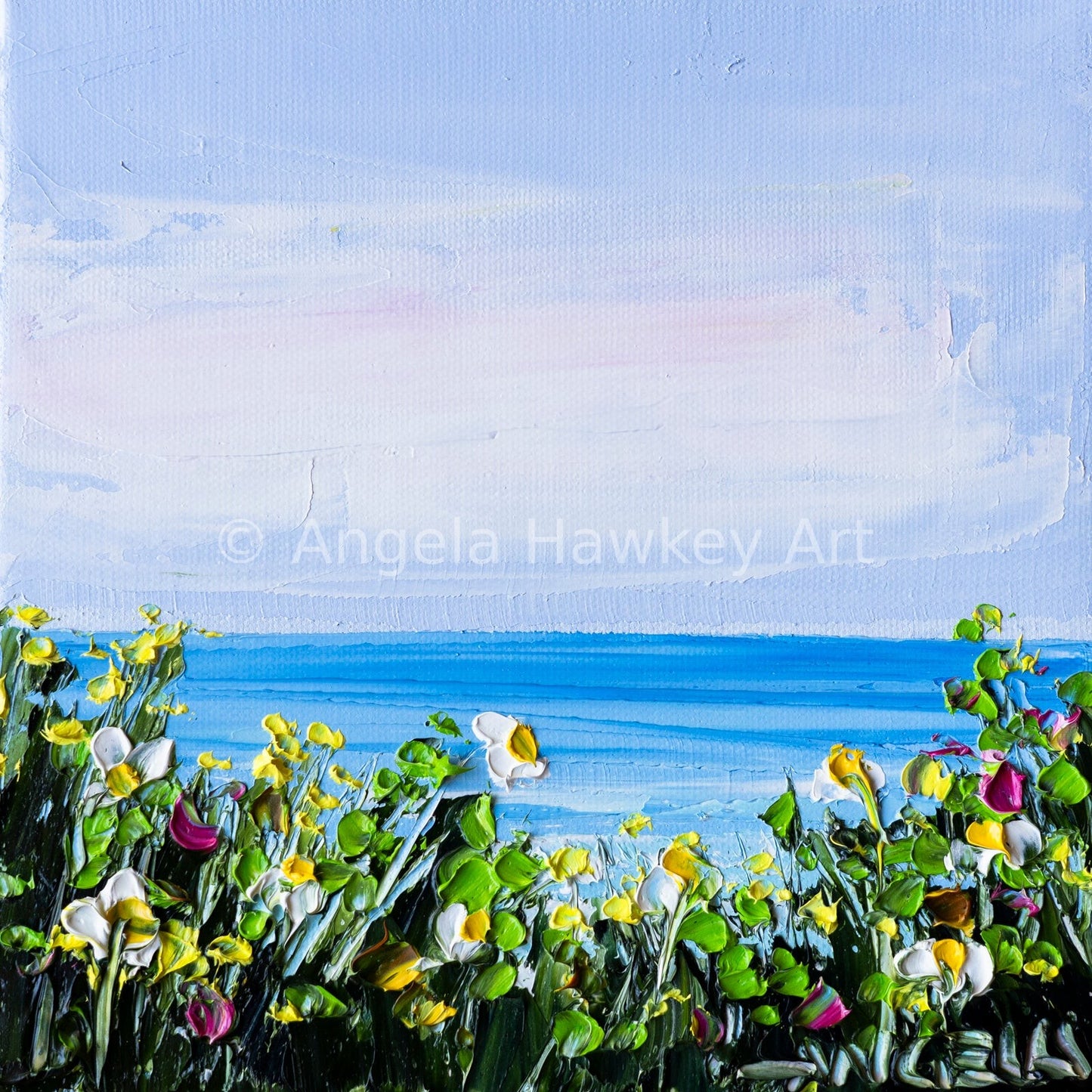 Daisy Shores 2