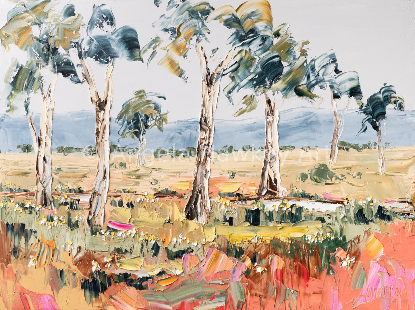 Warm Plains Dream