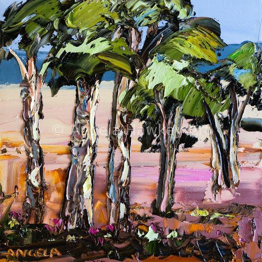 Bush Sanctuary