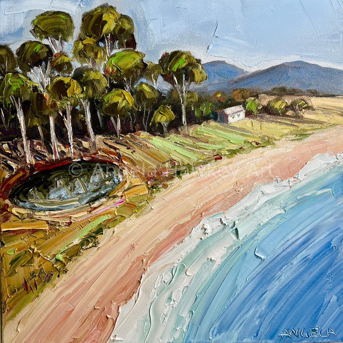 At Home By The Sea