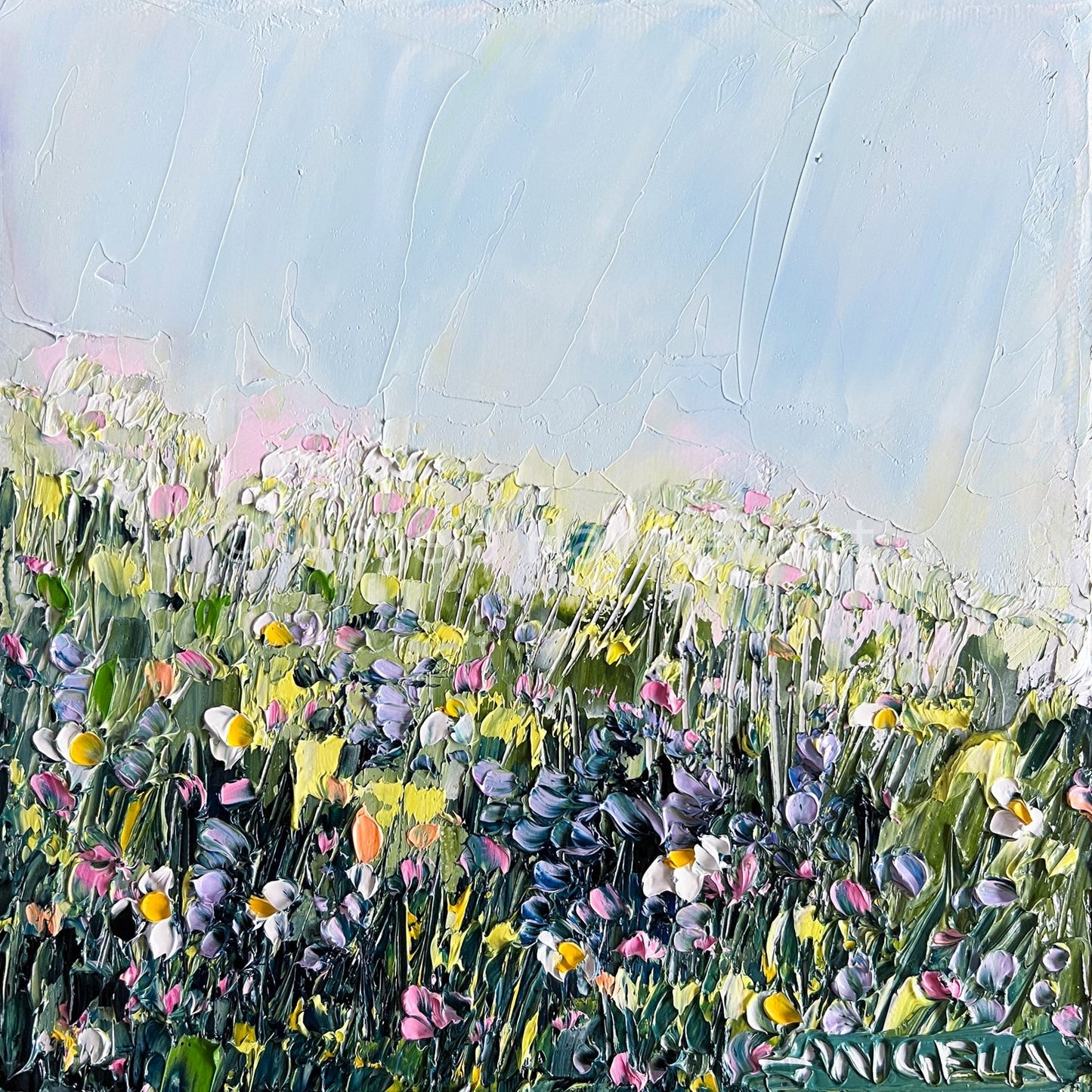 Soft Meadow Light