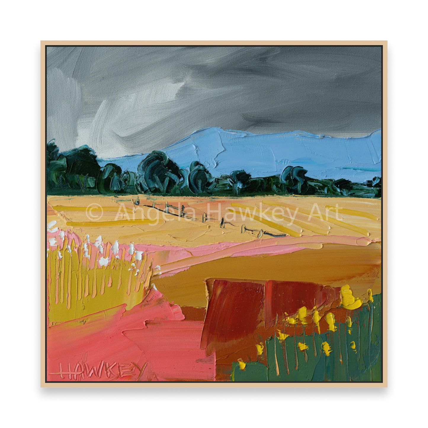 Cloud Cover - Fine Art Print - Gold Coast Gallery Of ArtAngela Hawkey