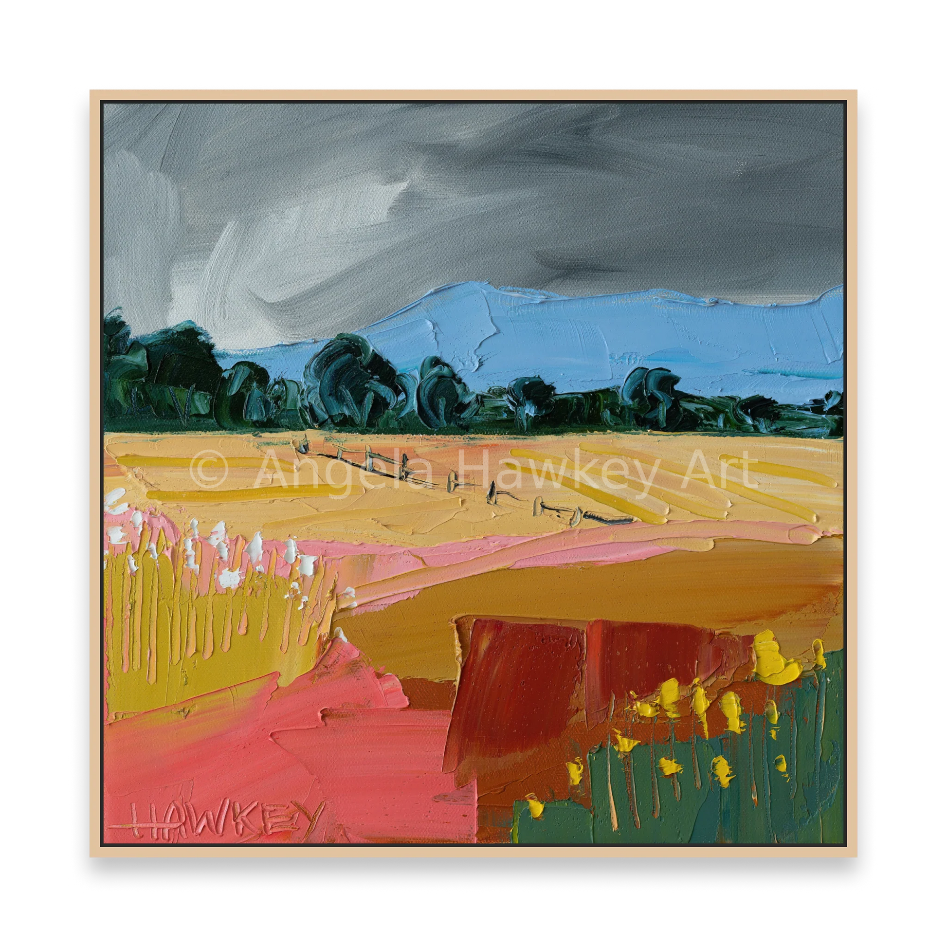 Cloud Cover - Fine Art Print - Gold Coast Gallery Of ArtAngela Hawkey