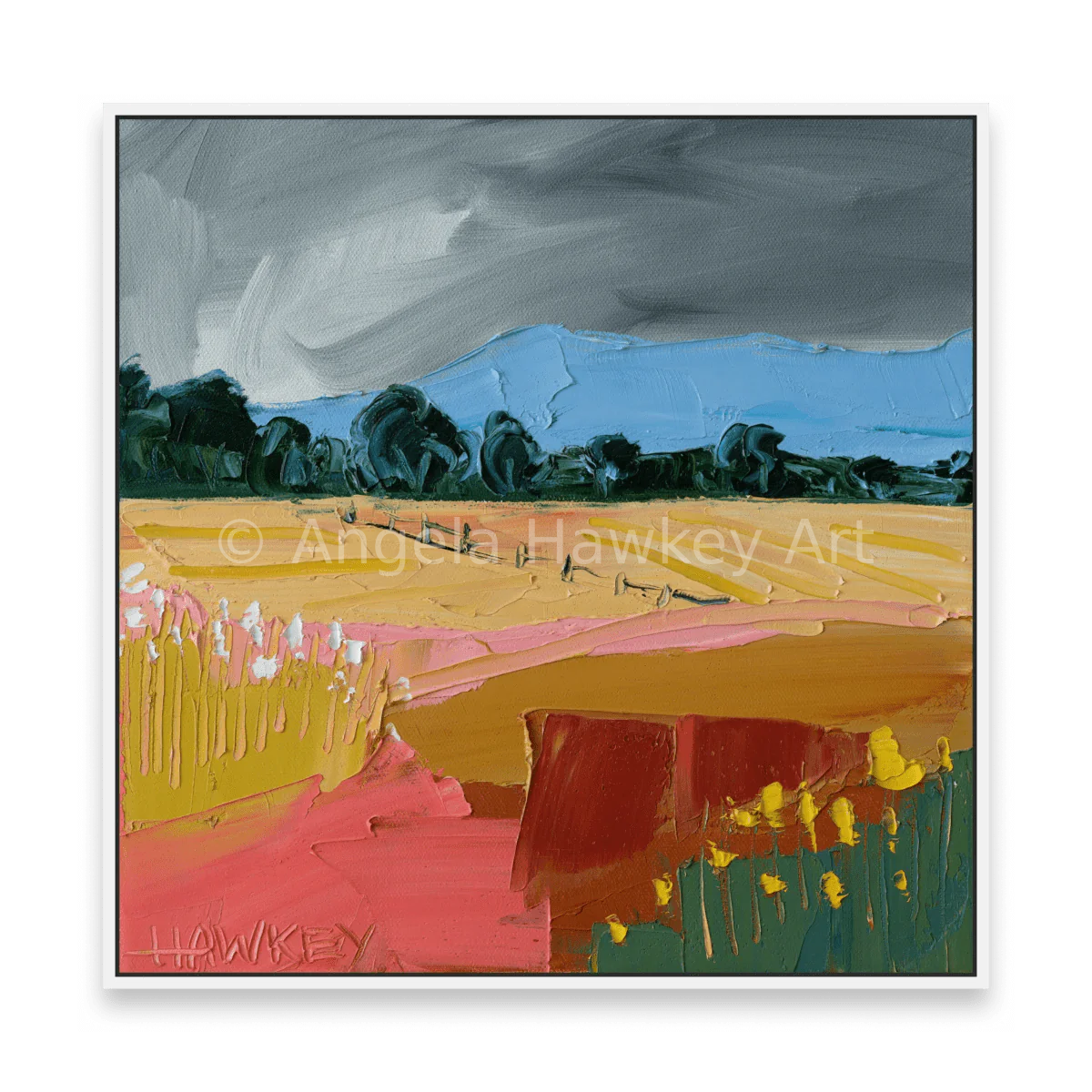 Cloud Cover - Fine Art Print - Gold Coast Gallery Of ArtAngela Hawkey