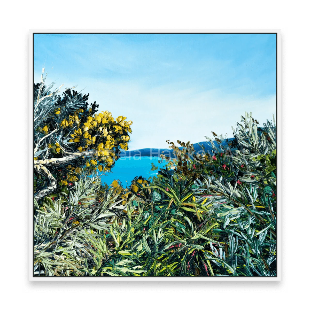 Hat Head Beach Walk - Fine Art Print - Gold Coast Gallery Of ArtAngela Hawkey