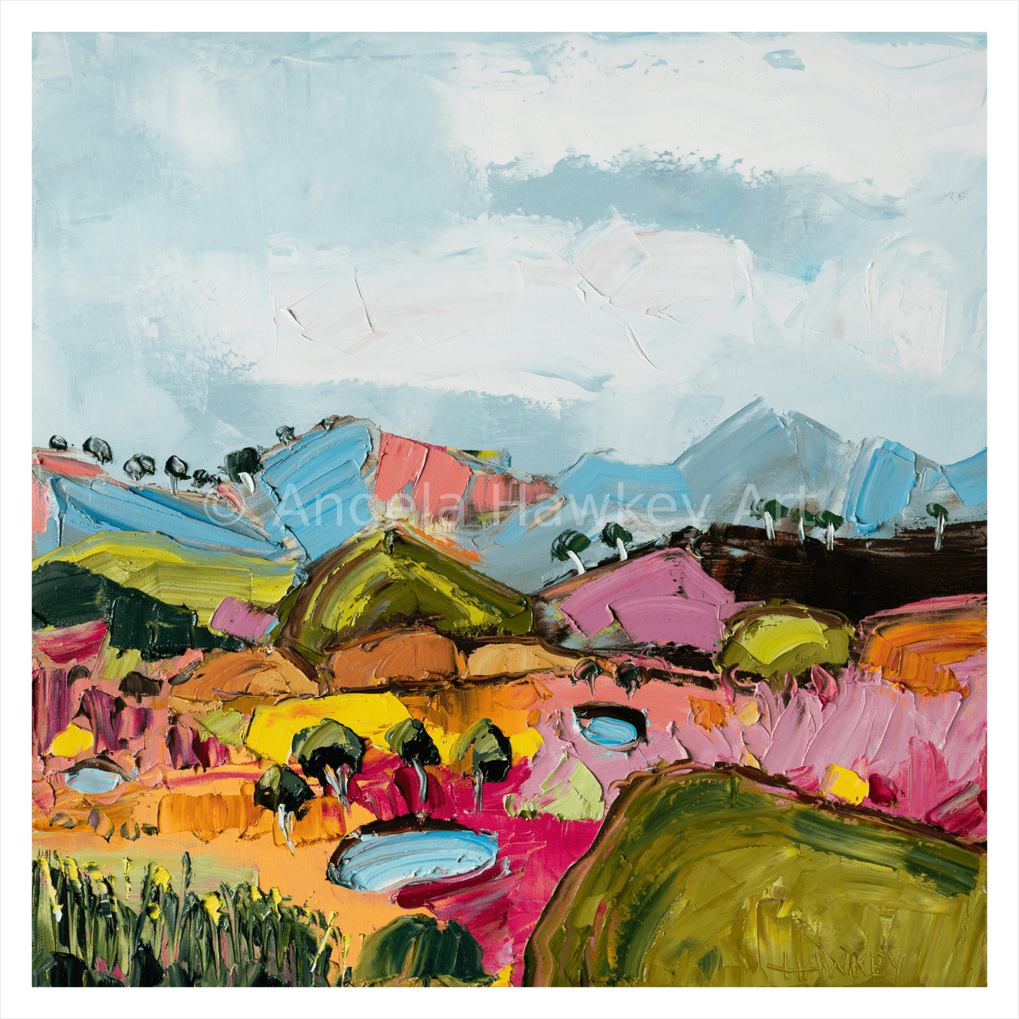 Many Colours - Fine Art Print - Gold Coast Gallery Of ArtAngela Hawkey