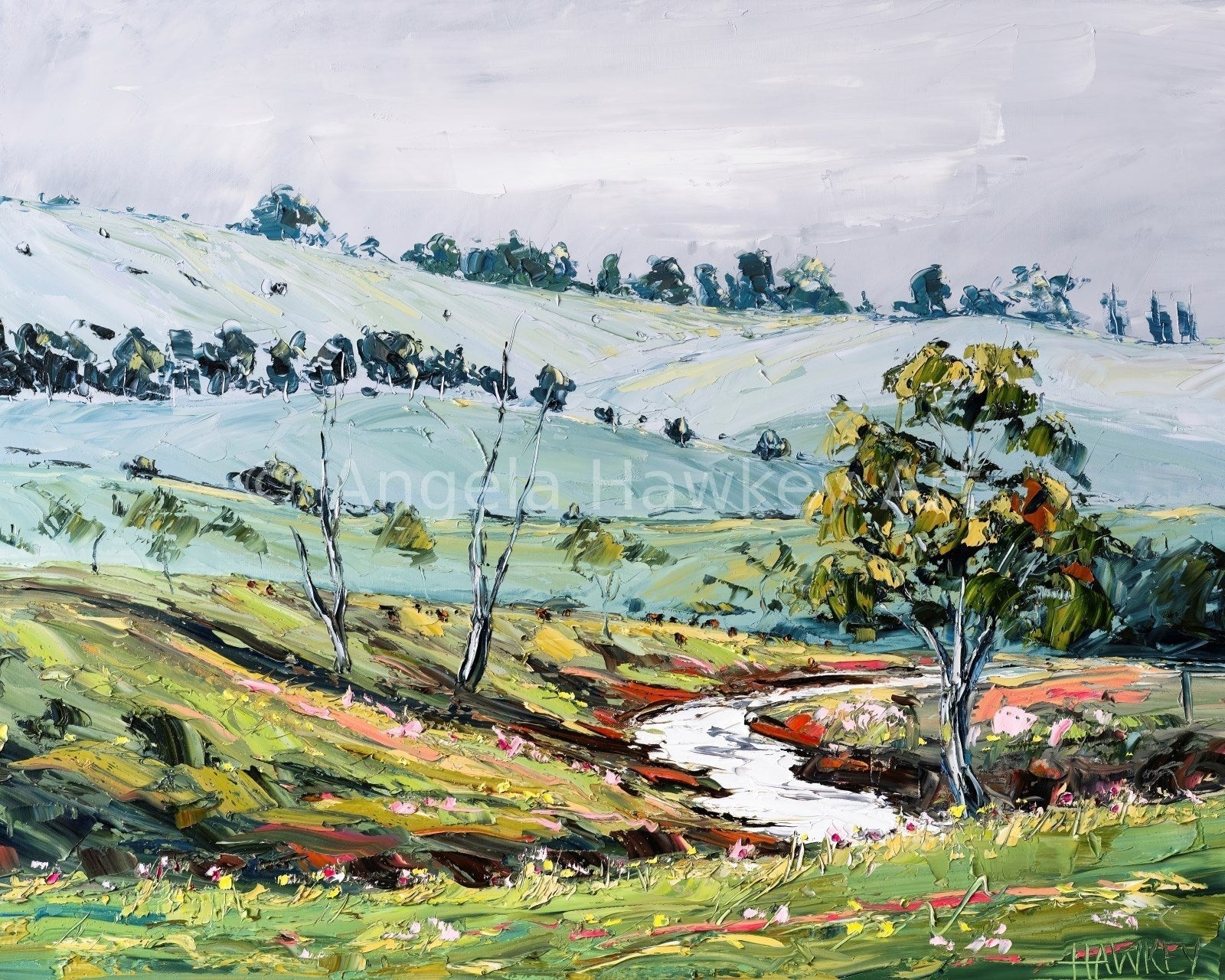 Mountain Stream - Fine Art Print - Gold Coast Gallery Of ArtAngela Hawkey
