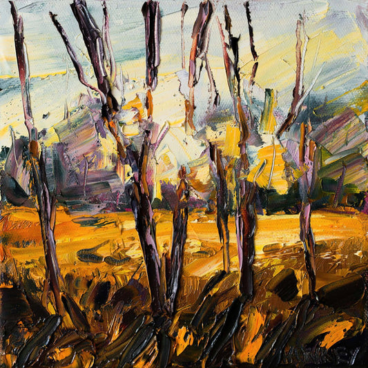 Near The Macintyre - Fine Art Print - Gold Coast Gallery Of ArtAngela Hawkey