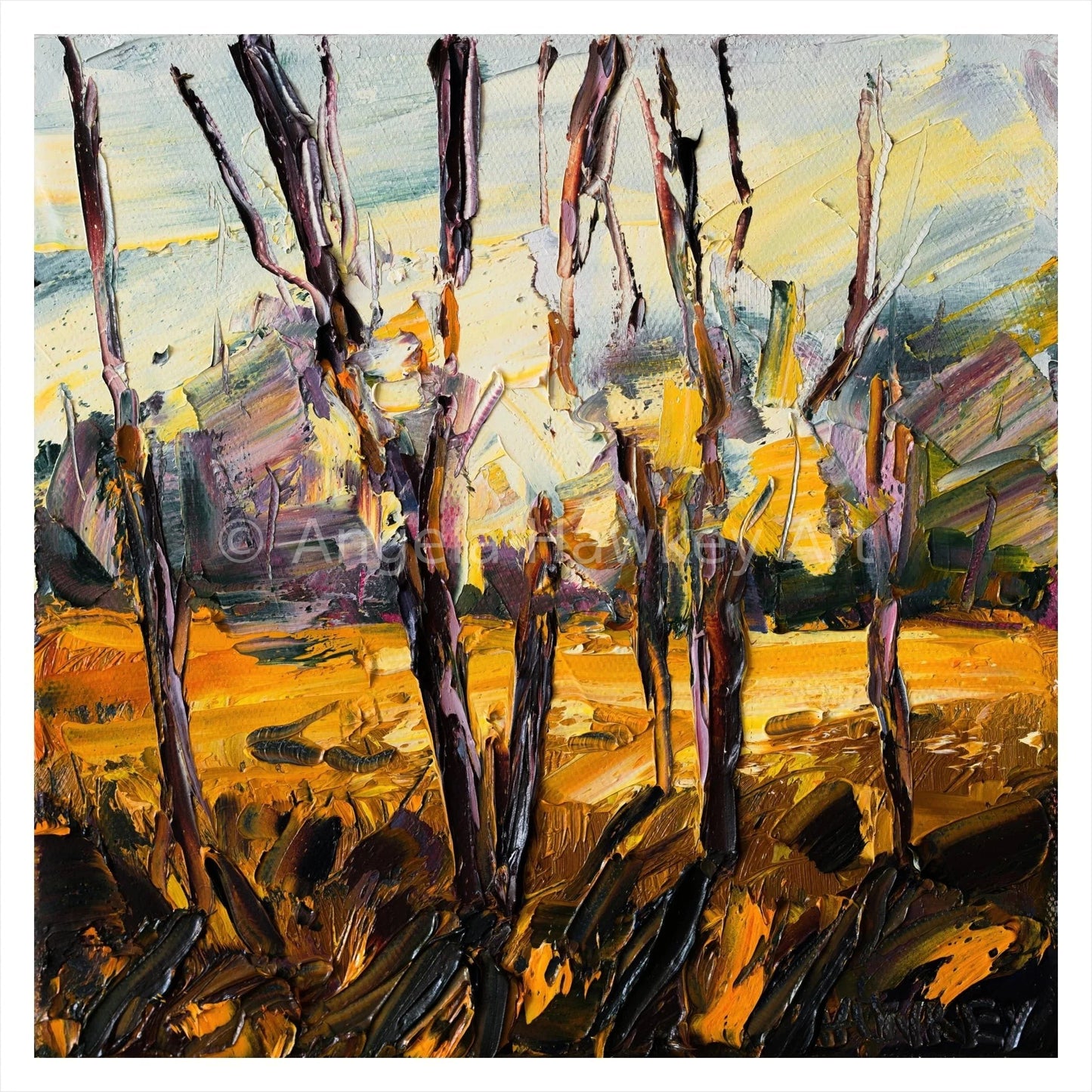 Near The Macintyre - Fine Art Print - Gold Coast Gallery Of ArtAngela Hawkey
