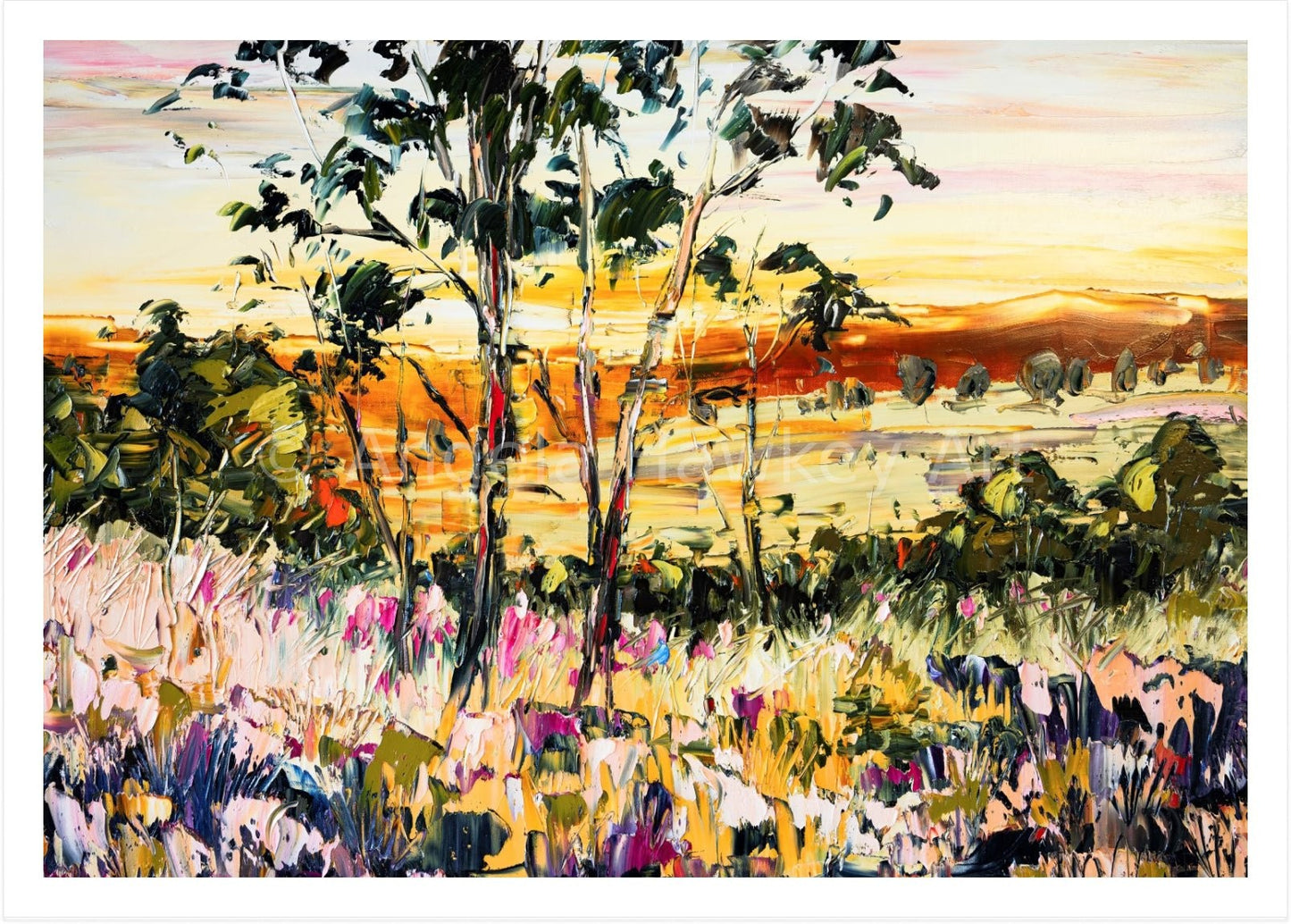 Winter Sun - Fine Art Print - Gold Coast Gallery Of ArtAngela Hawkey